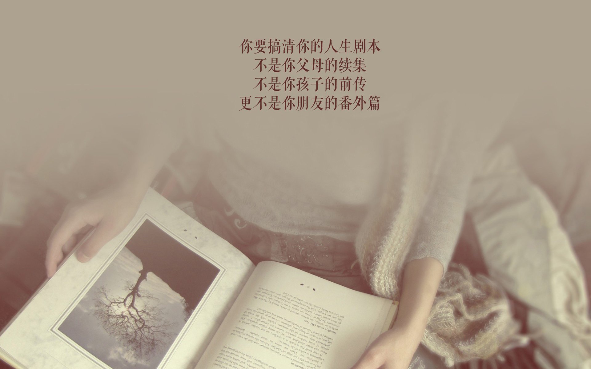 九游官网pc-极限悬崖飞跃挑战赛，勇敢者的极地极限盛宴，极限运动跳崖