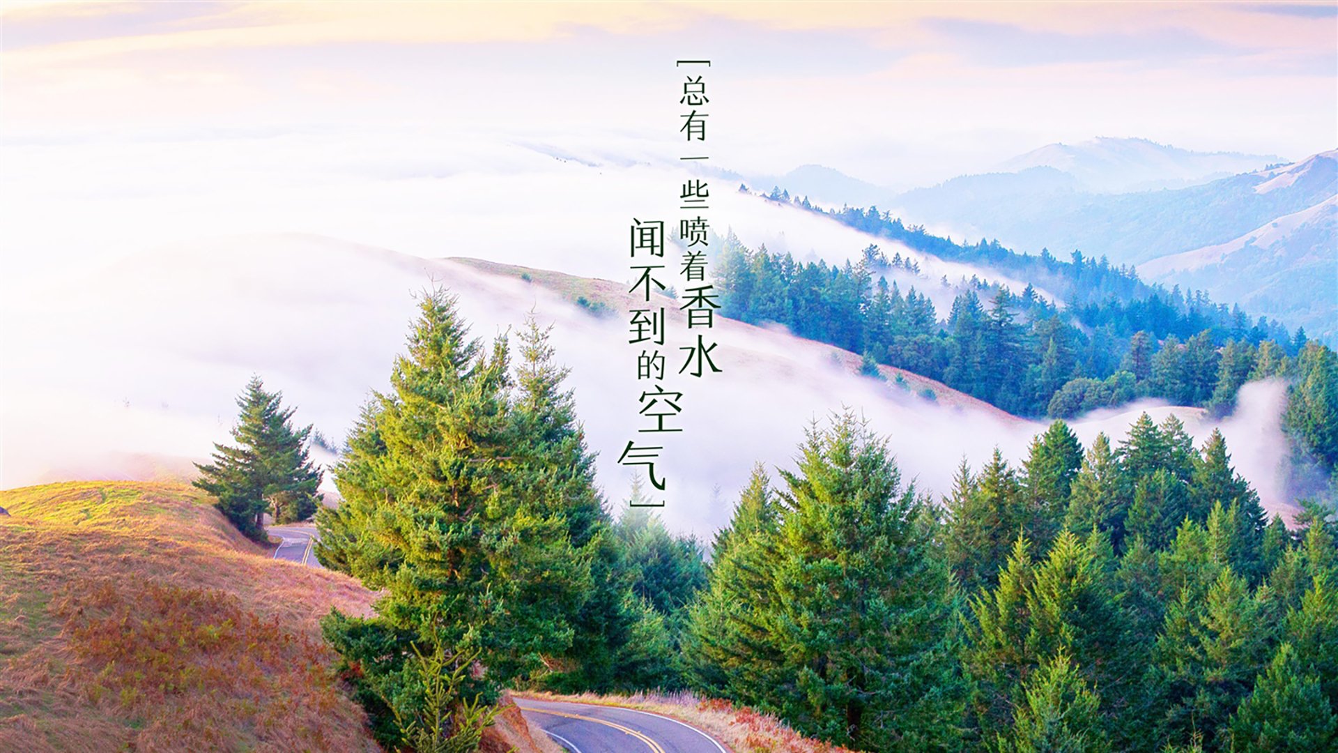 九游app下载中心-篮网新援表现惊艳，托马斯替补砍下30分，篮网托马斯图片