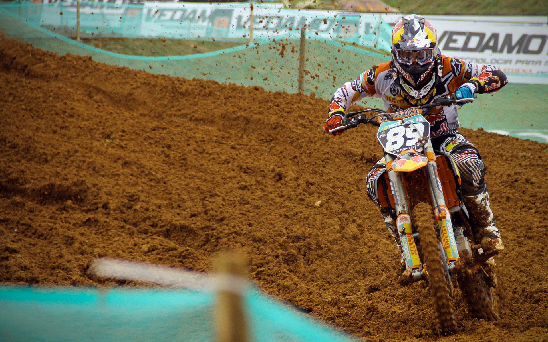 现场气氛火爆！球迷欢呼声此起彼伏！，球迷的疯狂举动